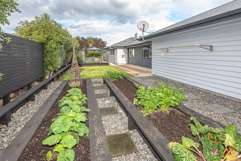 Photo of property in 12 Buckingham Place, Springvale, Whanganui, 4501