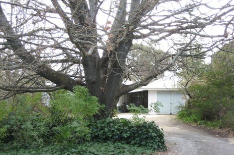 Photo of property in 63 Mchardy Street, Havelock North, 4130