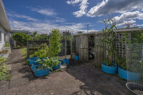 Photo of property in 58 Cook Drive, Whitianga, 3510