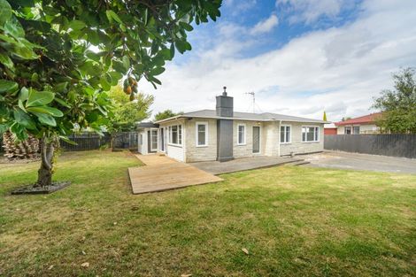 Photo of property in 149 North Street, Feilding, 4702