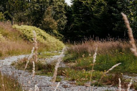 Photo of property in 92b Lake Kaniere Road, Blue Spur, Hokitika, 7811