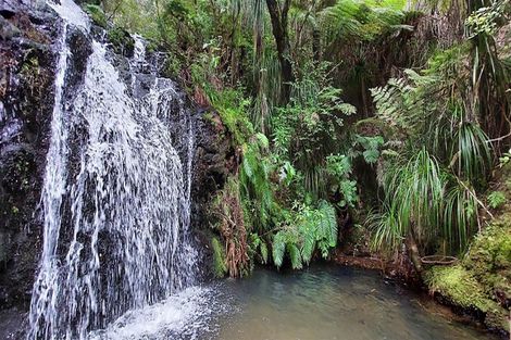 Photo of property in 49 Red Bridge Road, Pukepoto, Hikuai, 3579