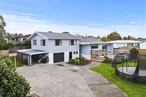 Photo of property in 33 Heatley Avenue, Hokowhitu, Palmerston North, 4410