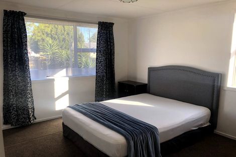 Photo of property in 19 Ryan Avenue, Chartwell, Hamilton, 3210