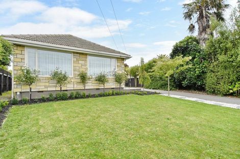 Photo of property in 167 Marshland Road, Shirley, Christchurch, 8061