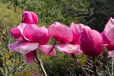 Photo of property in 16 Mccallum Drive, Sandspit, Warkworth, 0982