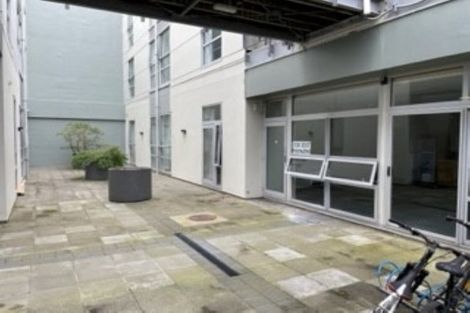 Photo of property in Hanson House, 2/27 Hanson Street, Mount Cook, Wellington, 6021