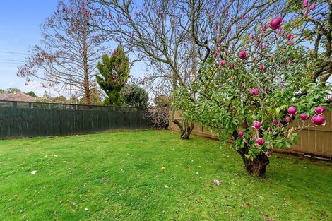 Photo of property in 83 Ellicott Road, Nawton, Hamilton, 3200