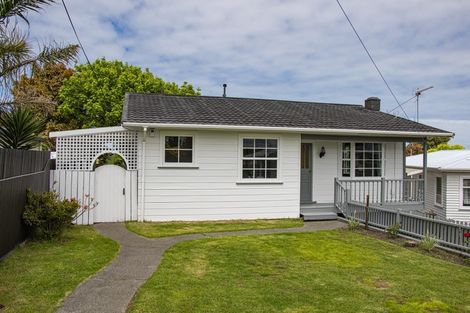 Photo of property in 119 Koromiko Road, Gonville, Whanganui, 4501