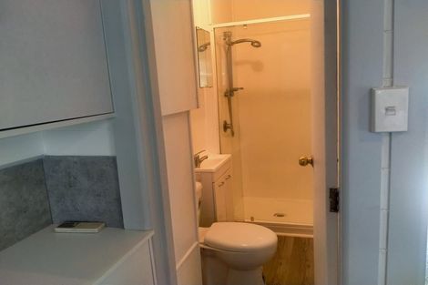 Photo of property in 137a Rolleston Street, Rakaia, 7710