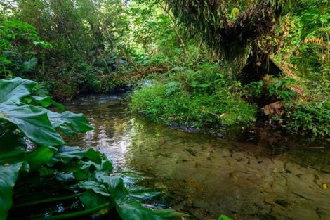 Photo of property in 38 Icarus Place, Sunnybrook, Rotorua, 3015