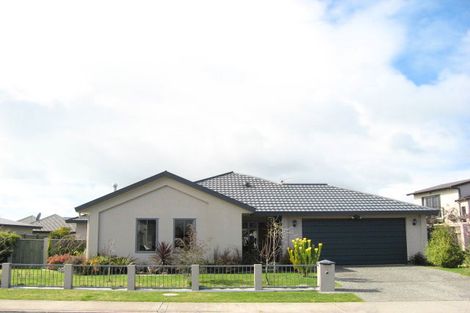 Photo of property in 4 Saint Hill Lane, Havelock North, 4130