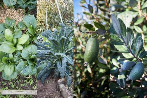 Photo of property in 1528a Pyes Pa Road, Oropi, Tauranga, 3173