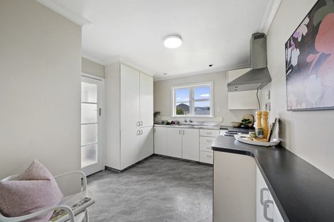 Photo of property in 96 Tiro Tiro Road, Levin, 5510