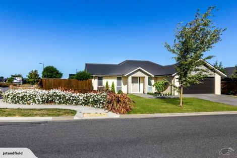 Photo of property in 38 Papawai Drive, Rangiora, 7400