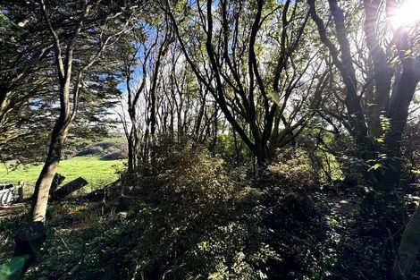 Photo of property in 6 Kamahi Street, Kaka Point, Balclutha, 9271