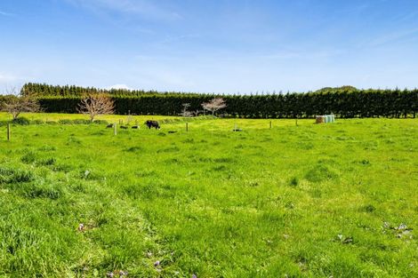 Photo of property in 484 Corbett Road, Lepperton, New Plymouth, 4373