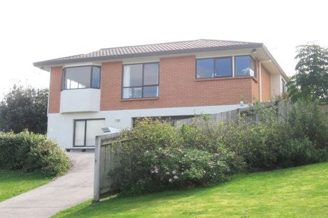 Photo of property in 20 Norwich Place, Bethlehem, Tauranga, 3110