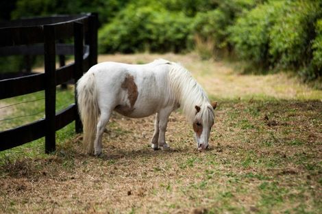 Photo of property in 355 Woodlands Road, Waihi, 3682
