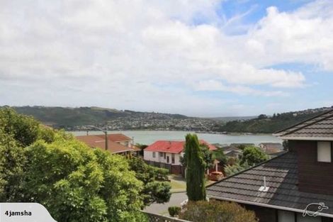 Photo of property in 19 Halladale Road, Papakowhai, Porirua, 5024