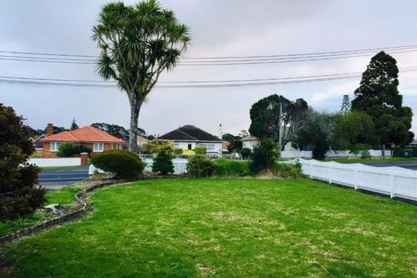 Photo of property in 20 Rogan Street, Mount Roskill, Auckland, 1041