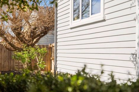 Photo of property in 11 Puriri Avenue, Te Puke, 3119