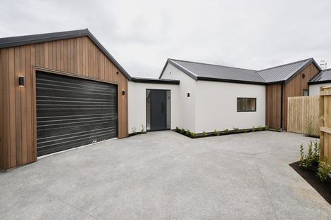 Photo of property in 17c Brightwater Terrace, Terrace End, Palmerston North, 4410