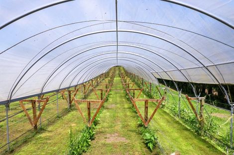 Photo of property in 54 Sinclair Road, Whakamarama, Tauranga, 3179