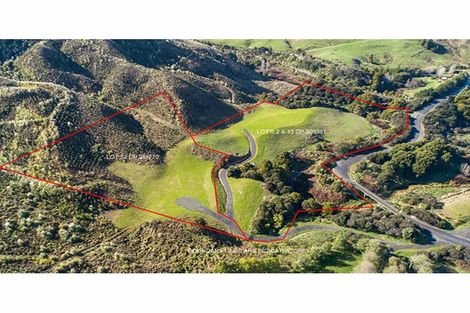 Photo of property in 50 Mick Dillon Road, Tahekeroa, Kaukapakapa, 0873