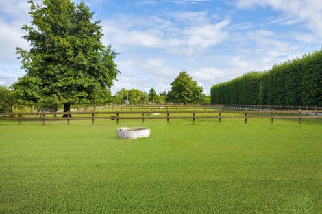 Photo of property in 36 Bell Road, Matawhero, Gisborne, 4071