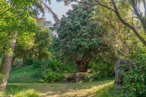 Photo of property in 16 Kawhero Drive, Kuaotunu, Whitianga, 3592