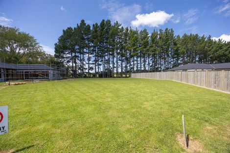 Photo of property in 20 Rayner Lane, Marton, 4710
