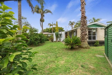 Photo of property in 91 Fitzroy Avenue, Fitzroy, Hamilton, 3206