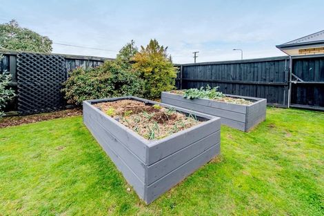 Photo of property in 83 Manse Road, Leeston, 7632