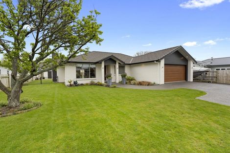 Photo of property in 250b Kimbolton Road, Feilding, 4702