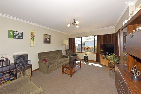 Photo of property in 41 Hope Street, Shirley, Christchurch, 8013