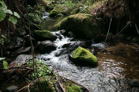 Photo of property in 257f Whakamarama Road, Whakamarama, Tauranga, 3179