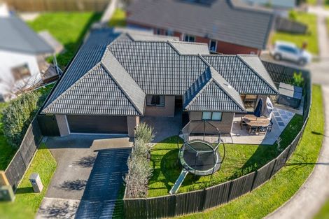 Photo of property in 31 Tupelo Street, Pukete, Hamilton, 3200