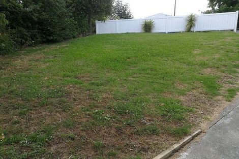Photo of property in 57 Webster Avenue, Mount Roskill, Auckland, 1041