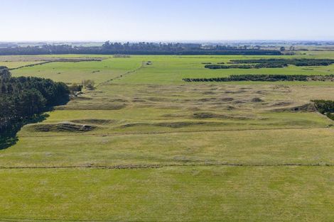Photo of property in 177 Downs Road, Geraldine Downs, Geraldine, 7991