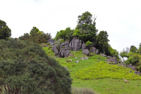 Photo of property in 3226 Hauturu Road, Waitomo, Te Kuiti, 3988