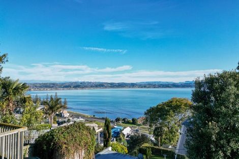 Photo of property in 33a Seapoint Road, Bluff Hill, Napier, 4110