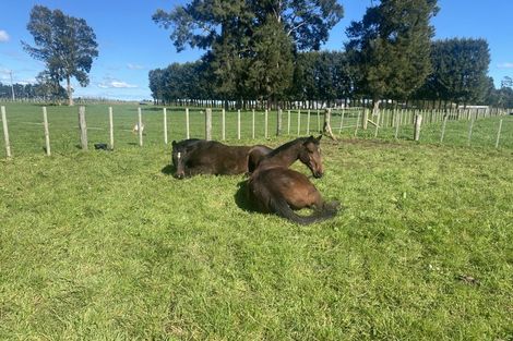 Photo of property in 1394 Churchill Road, Pukekawa, Tuakau, 2696