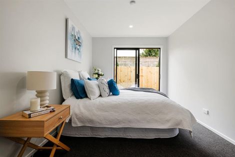 Photo of property in 2/1 Williams Place, Fairfield, Hamilton, 3214