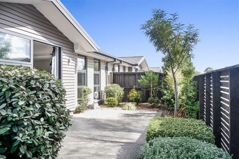 Photo of property in 53b Grafton Street, Waltham, Christchurch, 8011