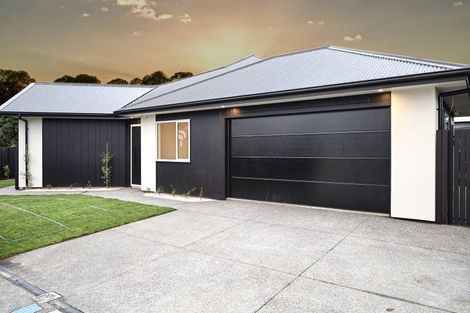 Photo of property in 1 Samuel Place, Terrace End, Palmerston North, 4410