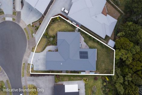 Photo of property in 14 Nolan Place, Katikati, 3129