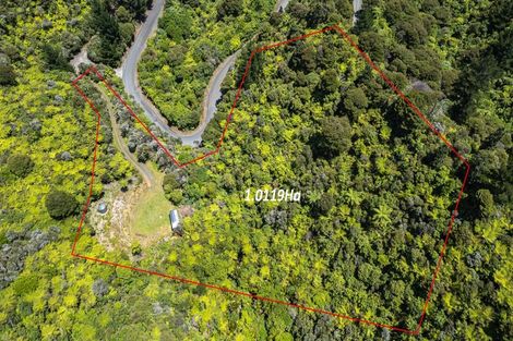 Photo of property in 1092 Driving Creek Road, Coromandel, 3583