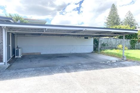 Photo of property in 60 Webster Avenue, Mount Roskill, Auckland, 1041