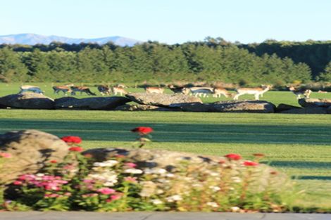 Photo of property in 18 Meadowlinks Lane, Pleasant Point, 7974